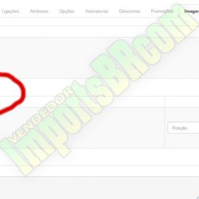 Image Manager Multiple Insert Produt