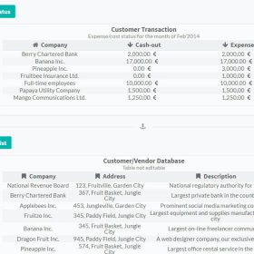 Sistema Contabilidade - Runa Financials